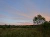 DSC03000.JPG