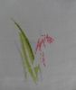 DSC03113.JPG