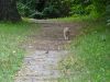 DSC03146.JPG