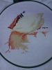DSC03328.JPG