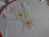 DSC03339.JPG