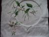 DSC04318.JPG