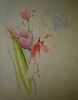 DSC04748.JPG