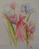 DSC05151.JPG