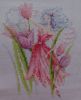 DSC05156.JPG