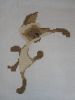 DSC09544.JPG