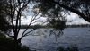DSCF0616.JPG