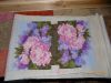 DSCN0794.JPG