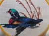 DSCN9879.JPG