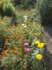 DSCN9888.JPG
