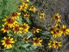 DSCN9890.JPG