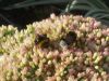 DSCN9896.JPG