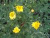 DSCN9903.JPG