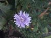 DSCN9905.JPG