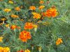 DSCN9909.JPG