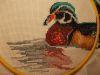 DSCN9928.JPG