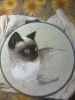 IMG-20160811-WA0001.jpg