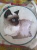 IMG-20160818-WA0000.jpg