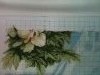 IMG_1686.thumb.JPG.1e4ba850f536d94282668