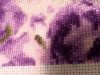 IMG_20160731_234102.jpg