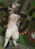 IMG_20160808_190638.jpg