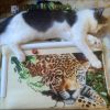 IMG_20160819_170640.jpg