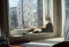 cats-keeping-warm-8.jpg