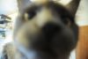 stitch03.JPG