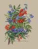 146152-89238-97164136-m750x740-u058f9.jpg