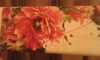 20141028_070230.jpg