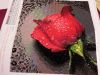20160506_222932.jpg
