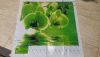 20160603_212959.jpg