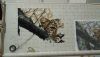 20160719_235445.jpg