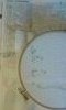 20160811_075309.thumb.jpg.aee3f420a8992e7f678516ae0124c954.jpg?1474547507305
