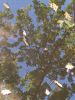 20160908_161950.jpg