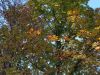 20160908_162257.jpg
