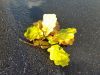 20160908_175430.jpg