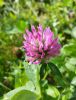 20160910_141817.jpg