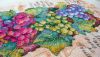 20160918_131052.jpg