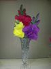 20160921_131619.jpg