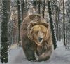 402728-29d9d-97352529-m750x740-ub5a6c.jpg