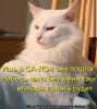 салон.jpg