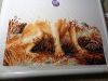 DSC00793.jpg