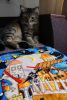 DSC00852.JPG