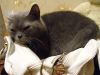 DSC01161.JPG