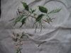 DSC04333.JPG