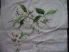 DSC04341.JPG