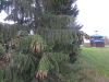 DSC07795.JPG