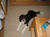 DSCF0106.JPG