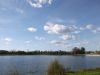 DSCF0649.JPG